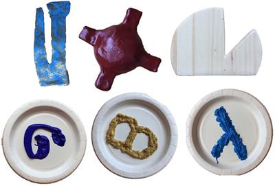 Coordination of Caregiver Naming and Children’s Exploration of Solid Objects and Nonsolid Substances